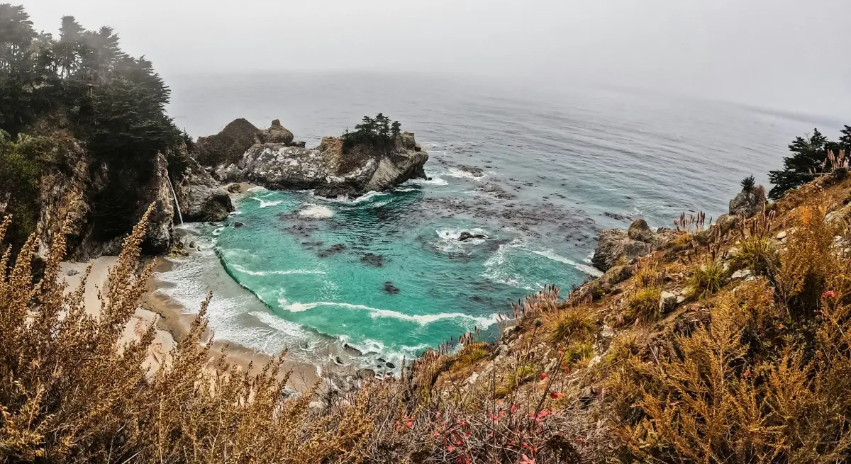 California coastline viewed from a hilltop