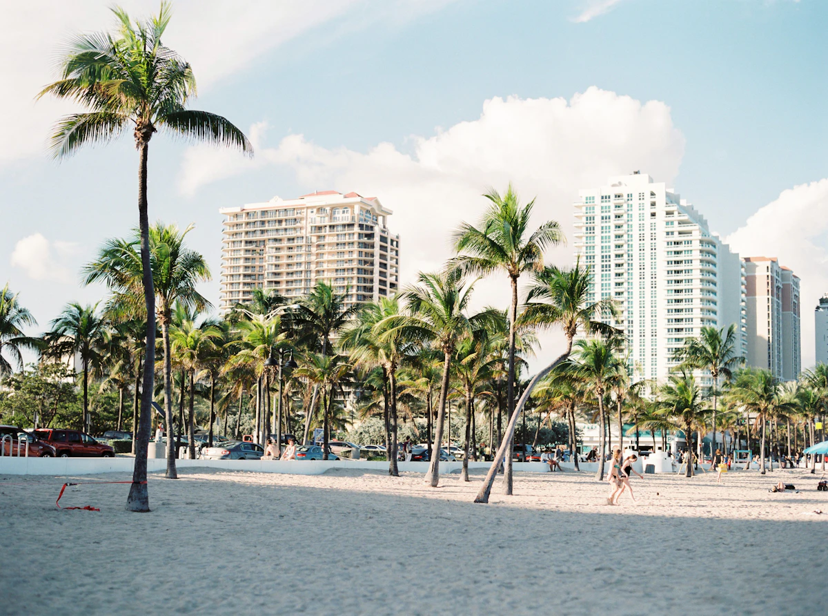 Palm trees in front of high-rise buildings