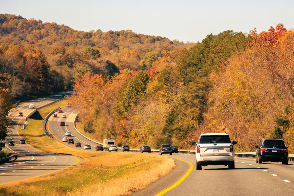 Cars on a highway lined with autumn trees