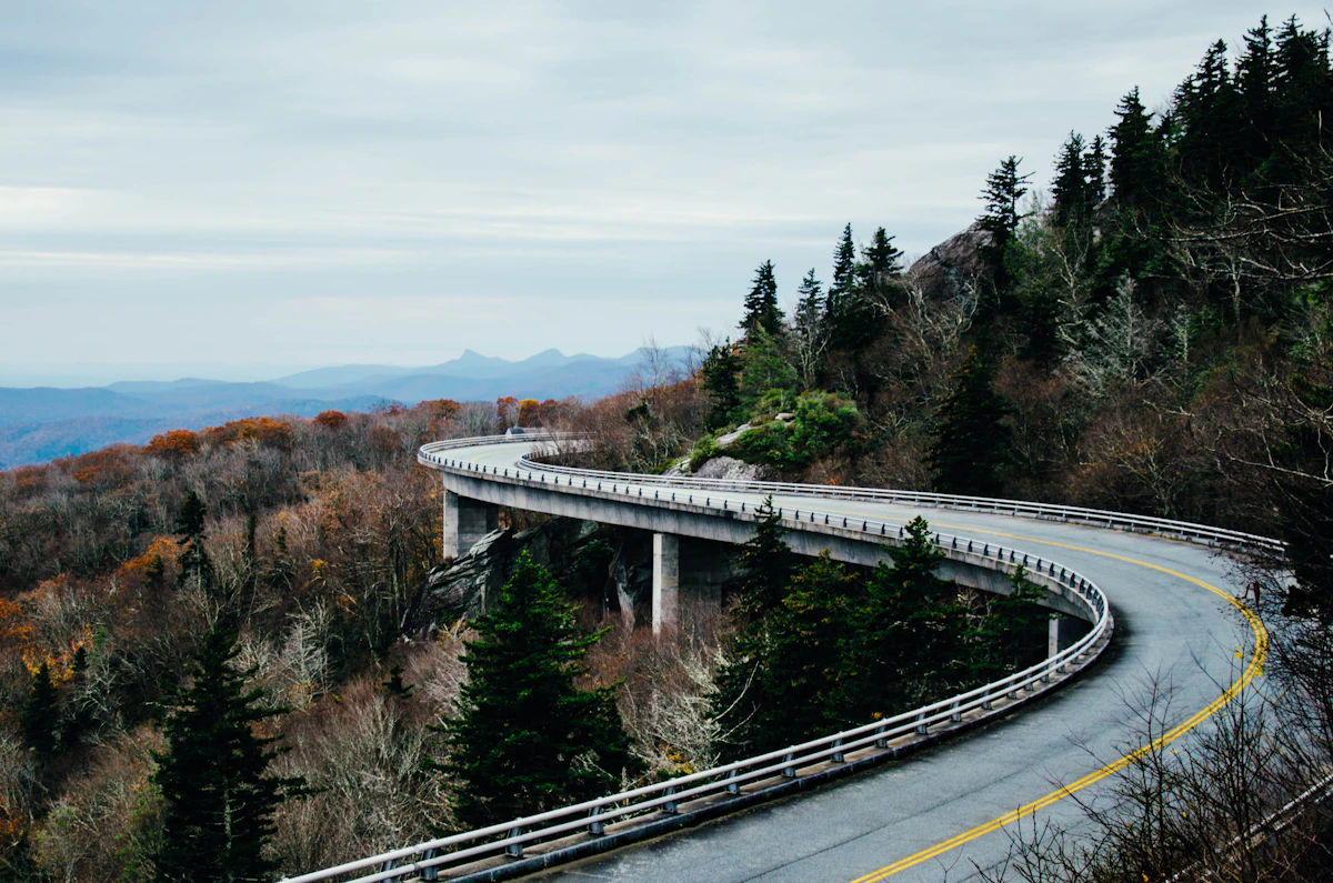 Road curving along a forested mountainside