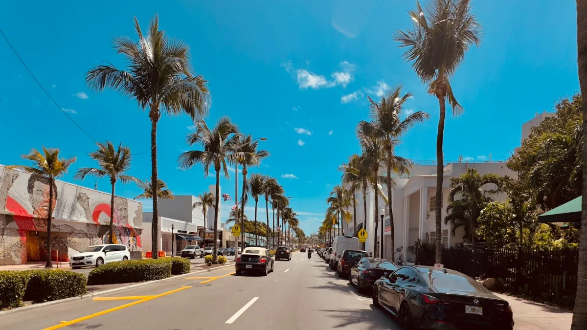 Street lined with palm trees