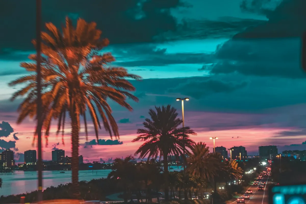 Tampa Florida city view